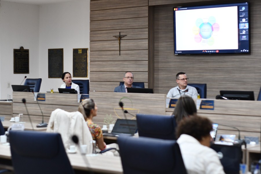 942-reuniao-plenaria