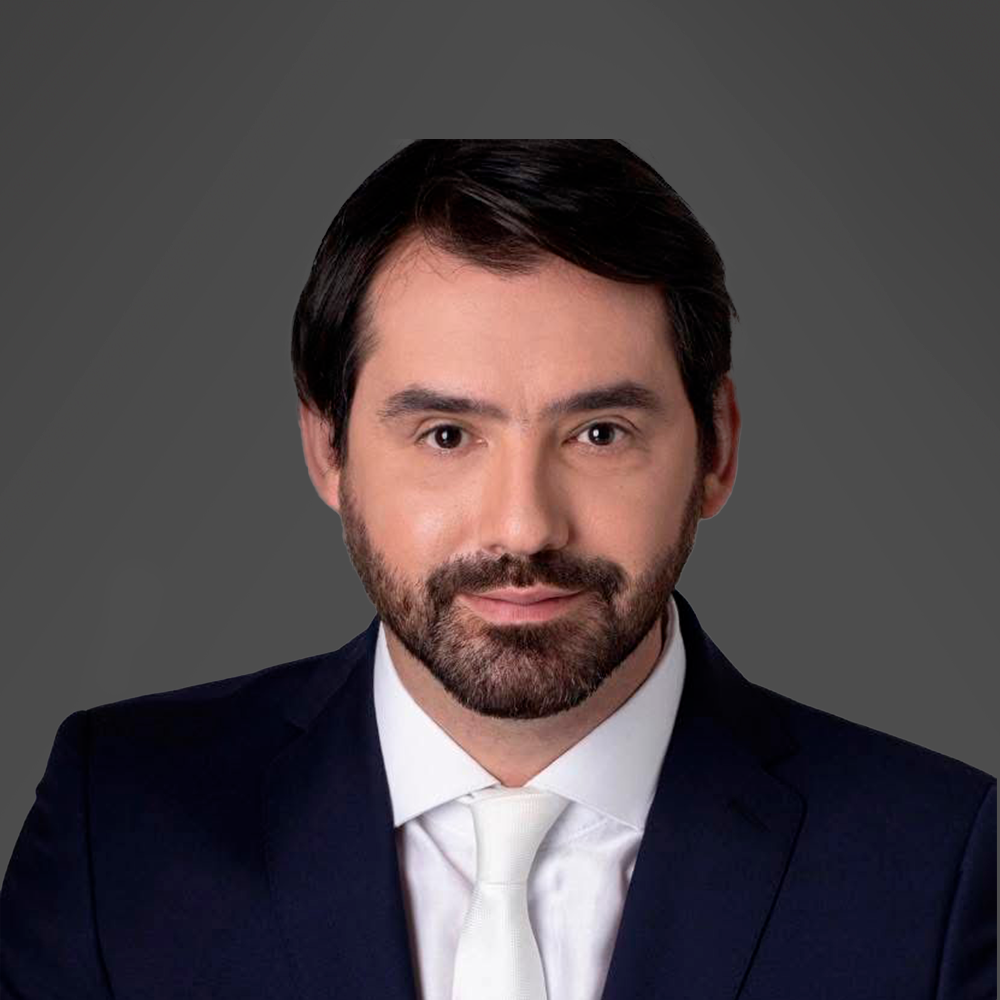 Membro do Grupo Técnico de Trabalho Parlamentar - Luis Antônio Domingues Neto Membro do Grupo Técnico de Trabalho Parlamentar - Luis Antônio Domingues Neto